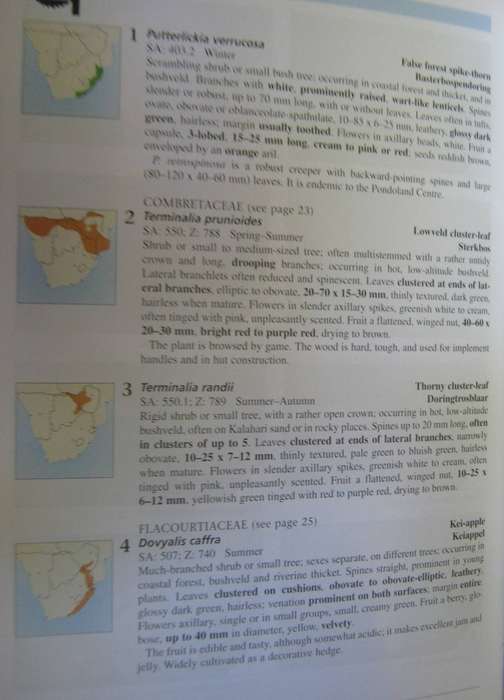 Field Guide to Trees of Southern Africa Braam Van Wyk & Piet Van Wyk