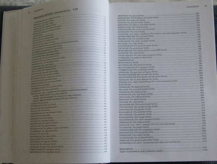 Trees of Southern Africa New Edition Revised and Updated