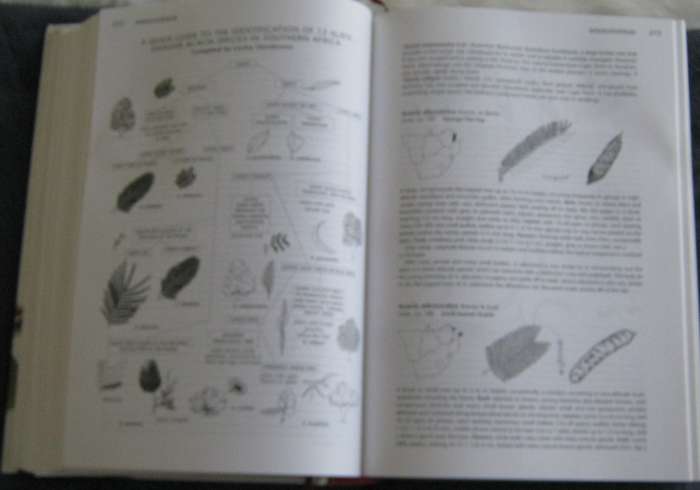 Trees of Southern Africa New Edition Revised and Updated