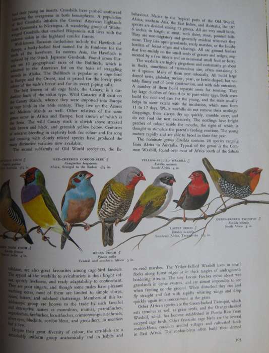 Birds of the World Oliver L. Austin. Illustrated by Arthur Singer.