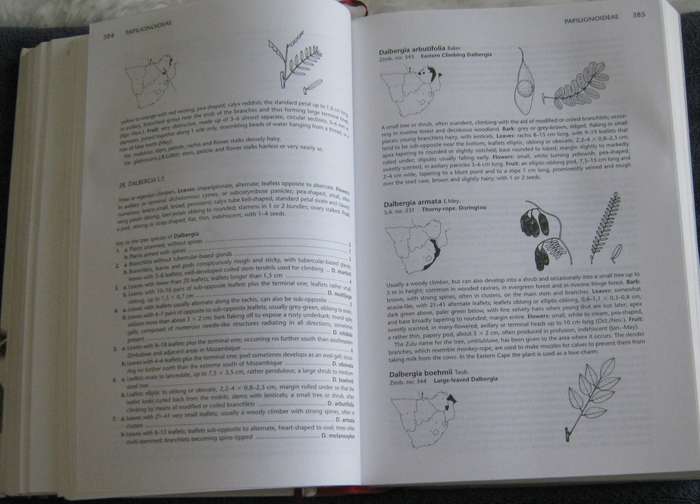 Trees of Southern Africa New Edition Revised and Updated