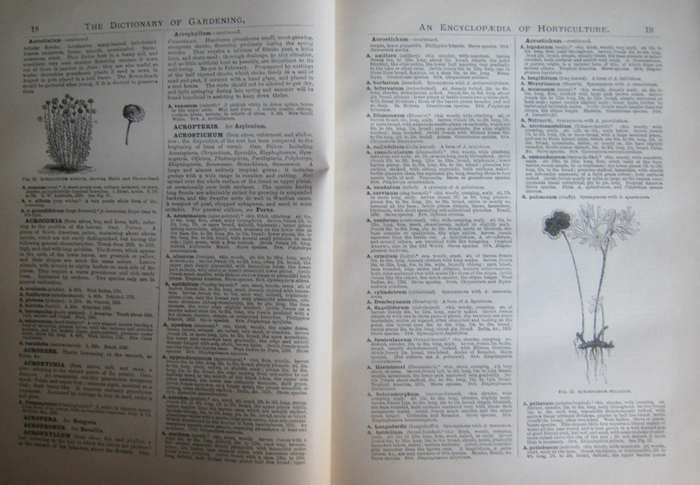 The Illustrated Dictionary of Gardening An Encyclopaedia of Horticulture: 10 Volumes