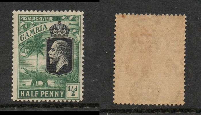 Gambia, GVR, 1925, 1/2d black & deep green, MH *