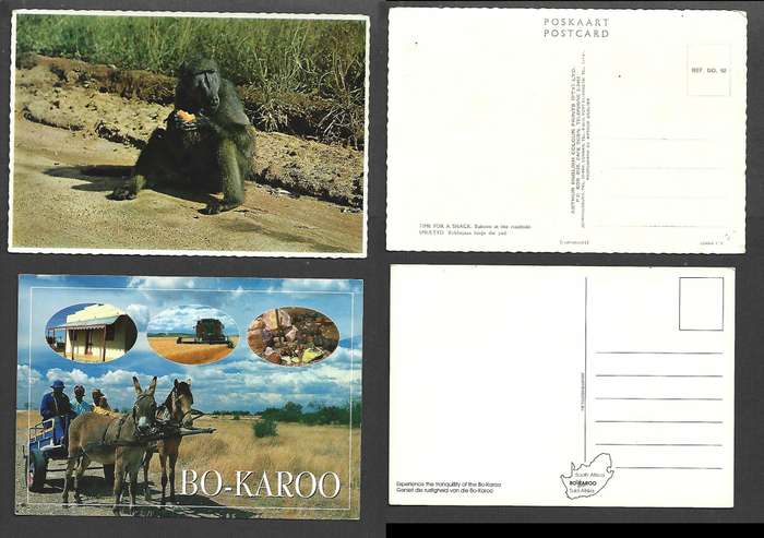 South Africa baboon eating snack, "Bo Karoo" - donkey cart, watu etc unused