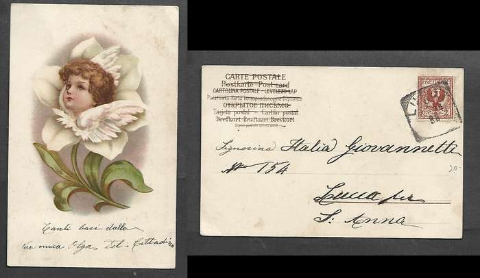 Postcard, sentimental,fantasy, cherub in a flower, used in Italy, 2c, LUCCA sq.c.d.s > S. Anna (ms)
