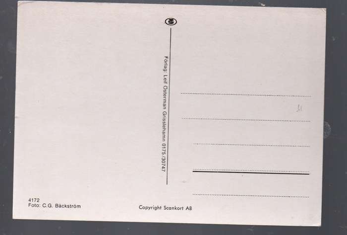 Sweden, Norrtaljie Radhuset, town hall, market, modern colour post card, unused