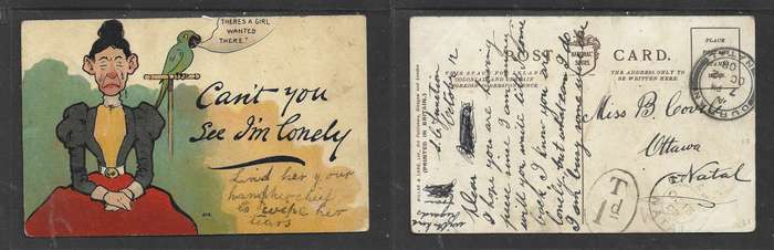Comic PPC, unfranked, 1d T(axe), DURBAN OC 12 08 c.d.s., OTTOWA NATAL OC 13 08 arrival