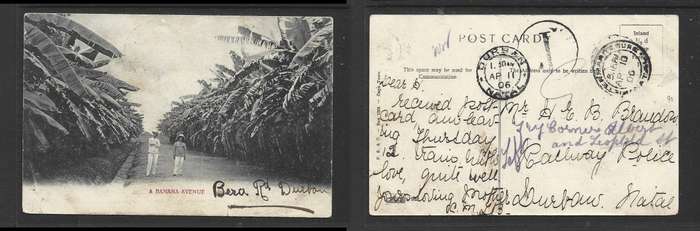 South Africa, Natal PPC, unfranked, "T" h/s, PIETERMARITZBURG AP 10 06 > DURBAN, re- directed