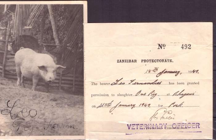 Zanzibar. 1949 cover With story.