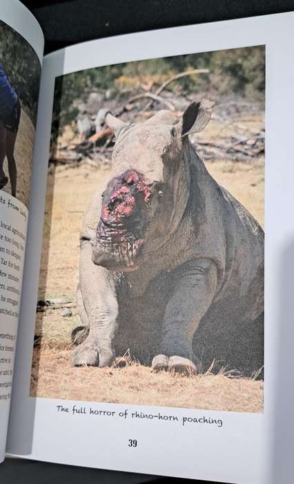 The Poacher's Moon By Richard Peirce Rhino's big 5 wildlife conservation game reserve South Africa