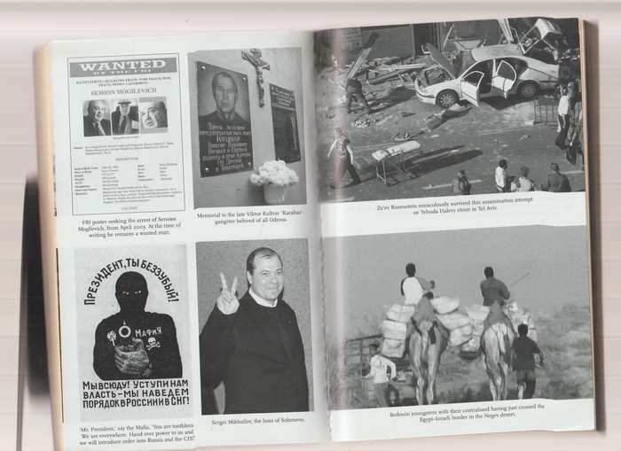 McMafia Seriously Organised Crime By Misha Glenny book true crime history politics business