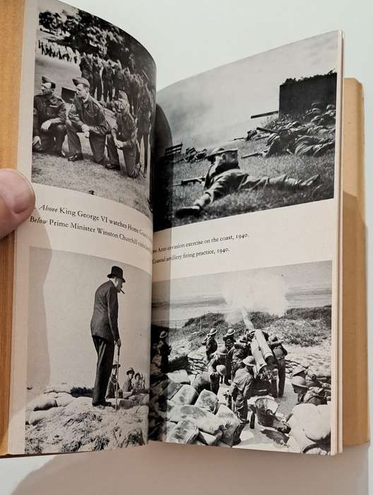 Sea Lion By Richard Cox world war 2 military army Hitler Germany invasion Churchill Historical
