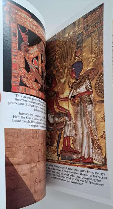 Tutankhamen The Life & Death Of A Boy King By Christine El Mahdy history Egypt biography medical