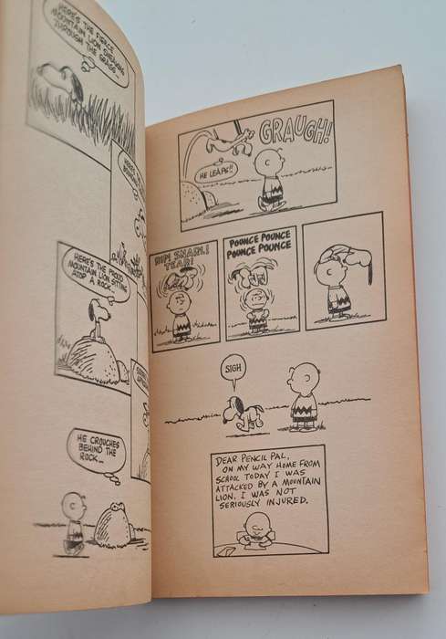 Who Do You Think You Are Charlie Brown By Charles M Schulz (1969) cartoon comic book rare vintage