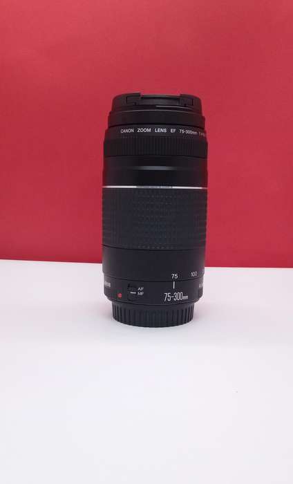 Canon EF 75-300mm Zoom lens