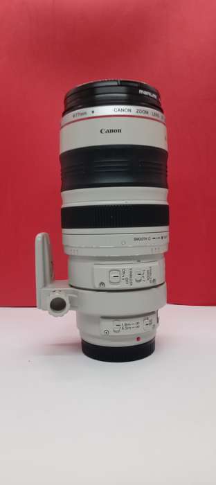 Canon EF 100-400mm f/4.5-5.6 L IS USM