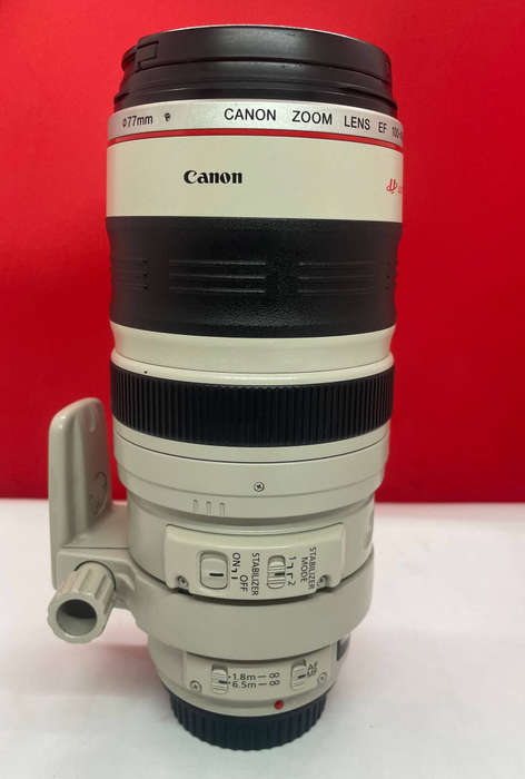 Canon EF 100-400mm f/4.5-5.6 L IS