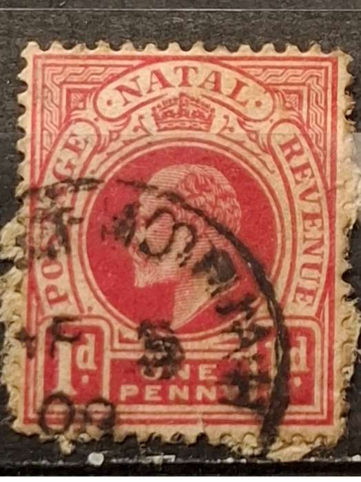 1902-1908 - Natal - 1P -  King George V