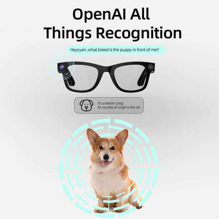 G300 Smart Glasses (Black)