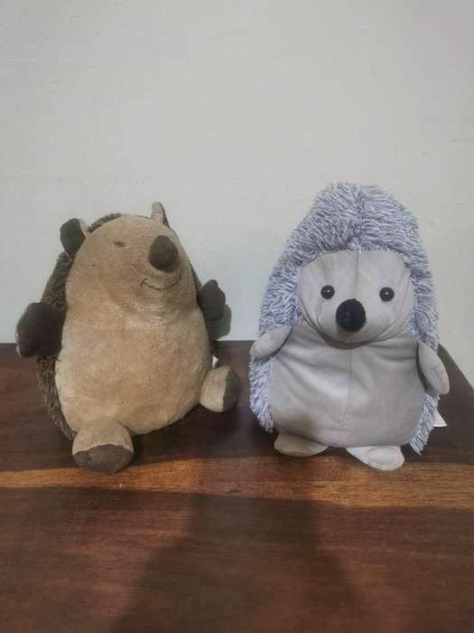 Pair of Gorgeous Hedgehog Doorstops