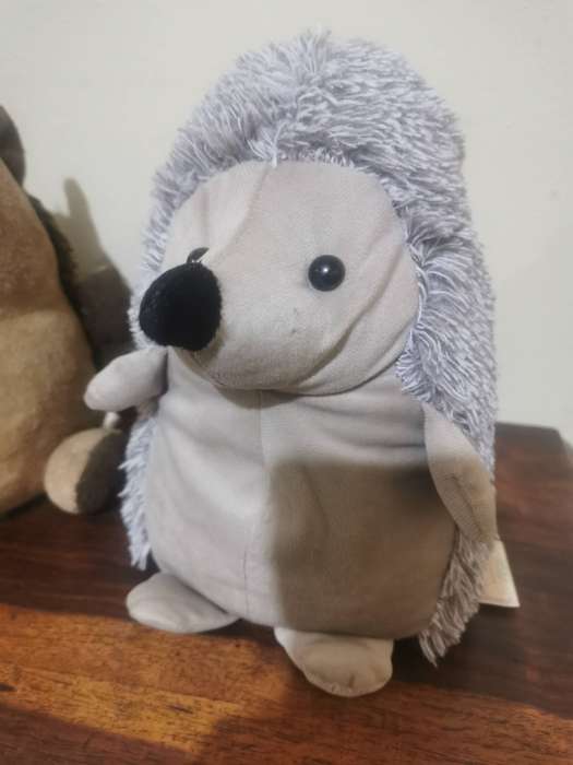 Pair of Gorgeous Hedgehog Doorstops