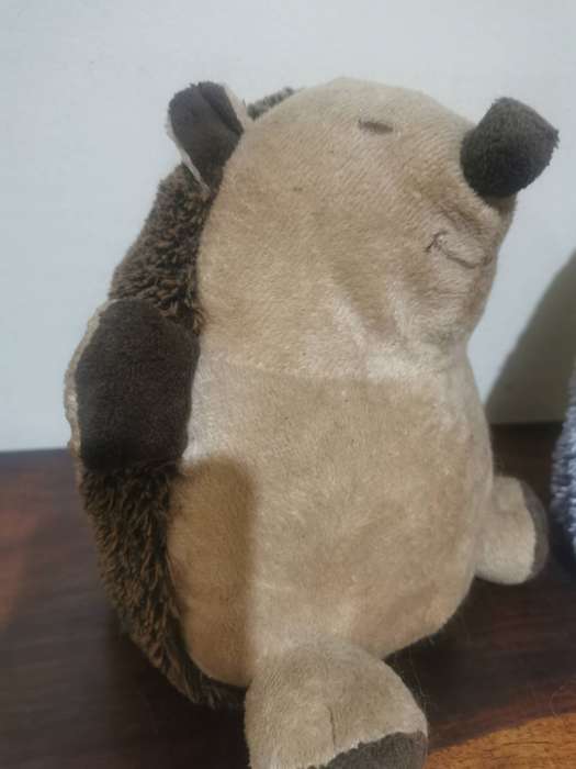 Pair of Gorgeous Hedgehog Doorstops