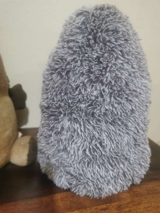 Pair of Gorgeous Hedgehog Doorstops