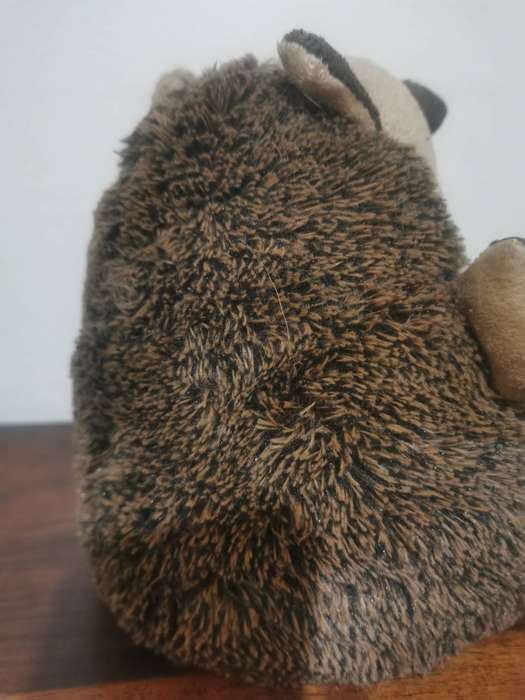 Pair of Gorgeous Hedgehog Doorstops