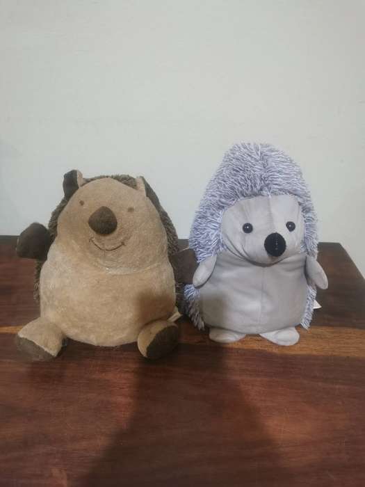 Pair of Gorgeous Hedgehog Doorstops