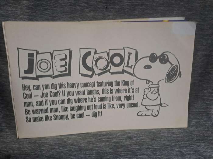 Snoopy (2 Comics)(see pics for condition)