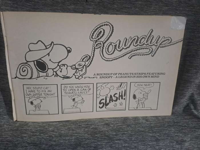 Snoopy (2 Comics)(see pics for condition)