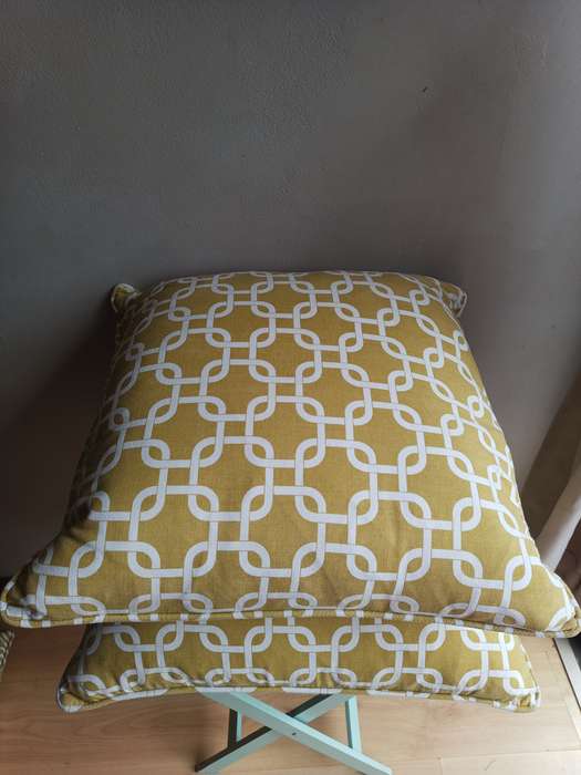 Two Stunning scattered cushions