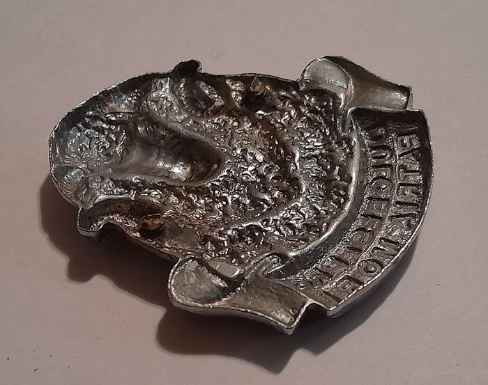 Regiment Groot Karoo Chromed Cap Badge.  No Lugs.