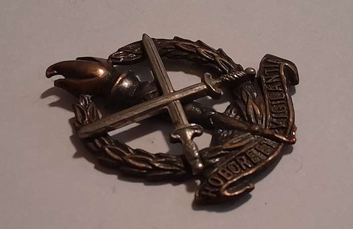 SADF Regiment Skoonspruit Badge.  No Pins.