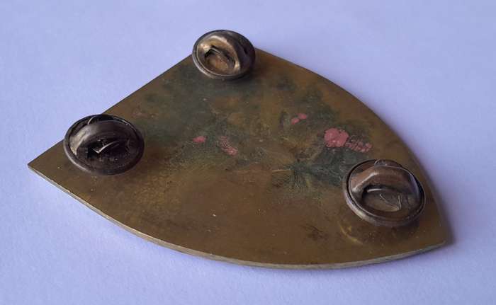 SADF Special Forces School Shoulder Flash. All Pins Intact.