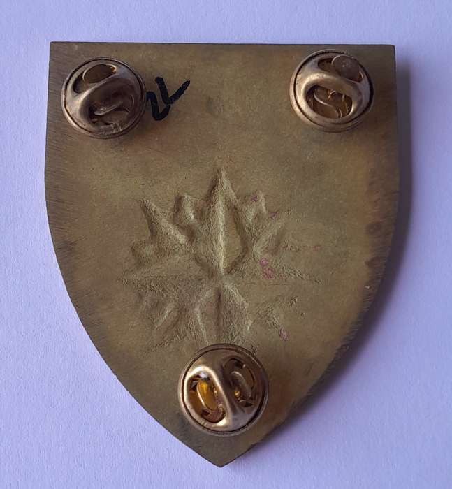 SADF 1 Special Forces Regiment Shoulder Flash.  All Pins Intact.