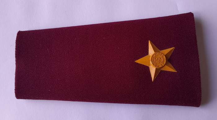 SADF SAMS 2nd Lieutenant Rank Epaulette.