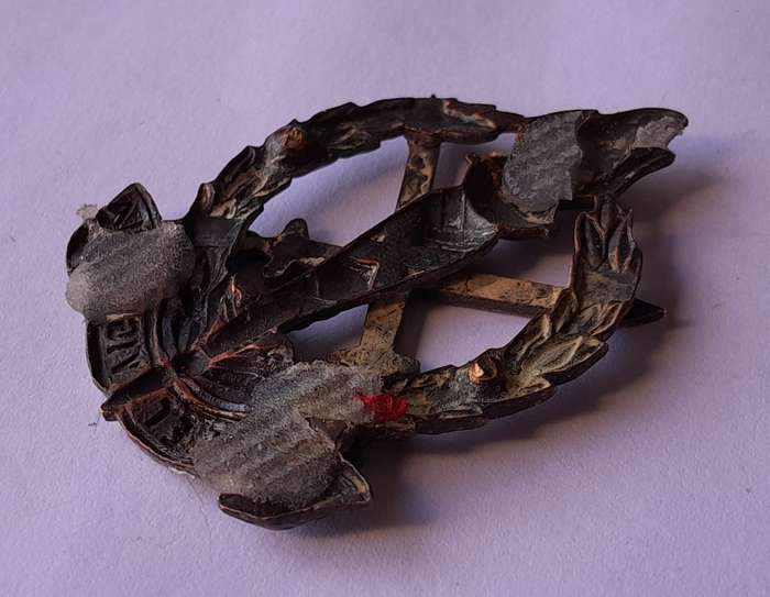SADF Regiment Schoonspruit Beret Badge.  No Lugs.
