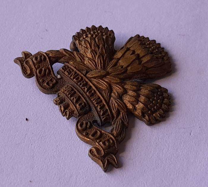 SA Army Special Services Battalion Badge.  1 Flattened Lug.