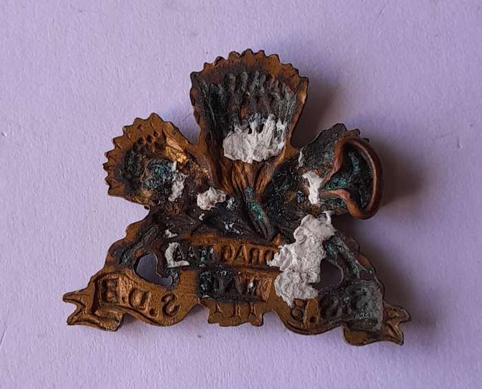 SA Army Special Services Battalion Badge.  1 Flattened Lug.