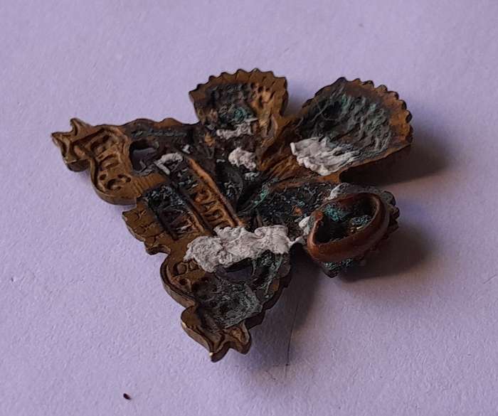 SA Army Special Services Battalion Badge.  1 Flattened Lug.