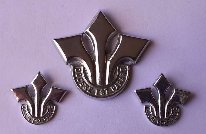 South African Army Corps of Professional Officers Badge Set. No Lugs / Pins.