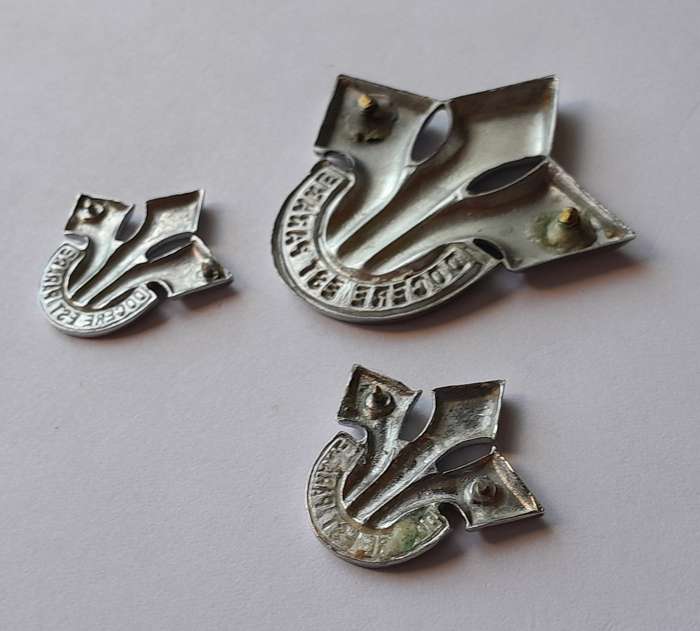South African Army Corps of Professional Officers Badge Set. No Lugs / Pins.