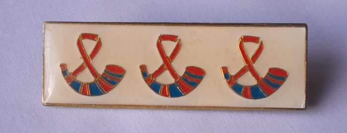 SADF Orange Free State Command Beret Bar. Pins Intact.