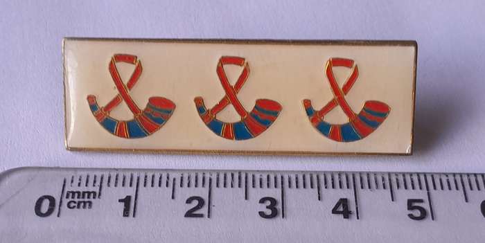 SADF Orange Free State Command Beret Bar. Pins Intact.
