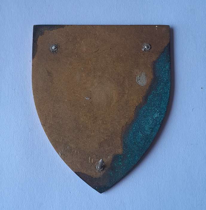 SADF School of Engineers Shoulder Flash.  1 Pin Intact.