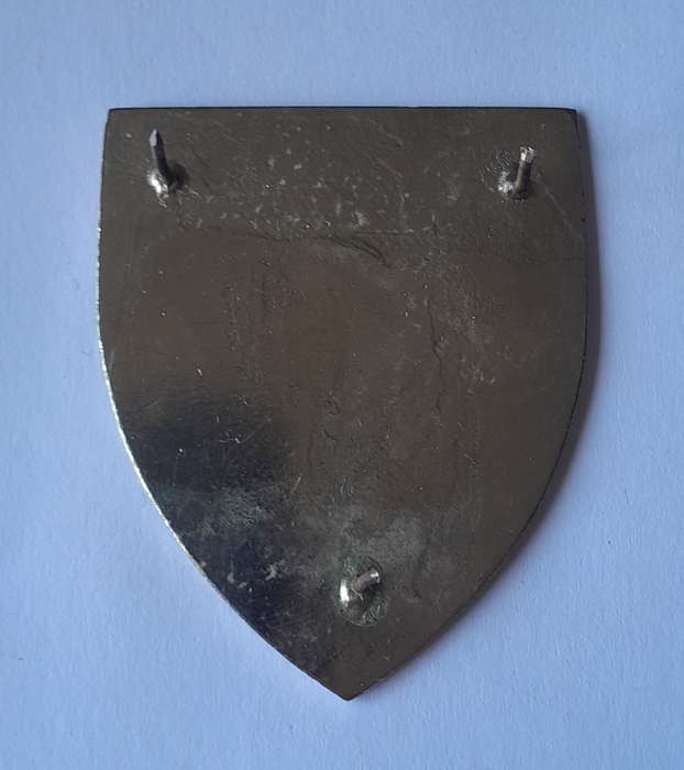 SADF Fouriesburg Commando Shoulder Flash.  All Pins Intact.