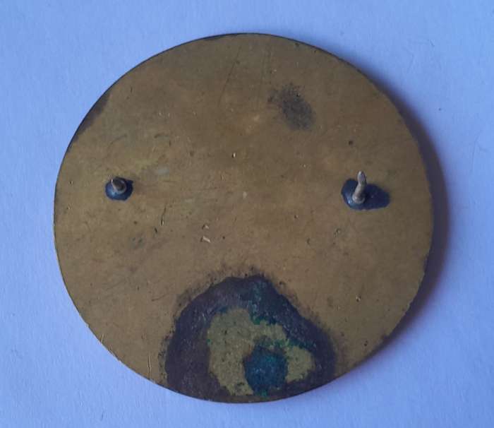 SADF Lions Head Commando Flash.  All Pins Intact.