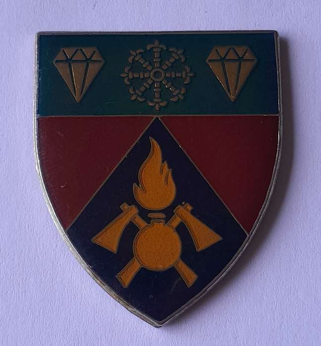 SWATF 1 SWA Engineer Regiment Pocket Fob Flash.  No Pins.
