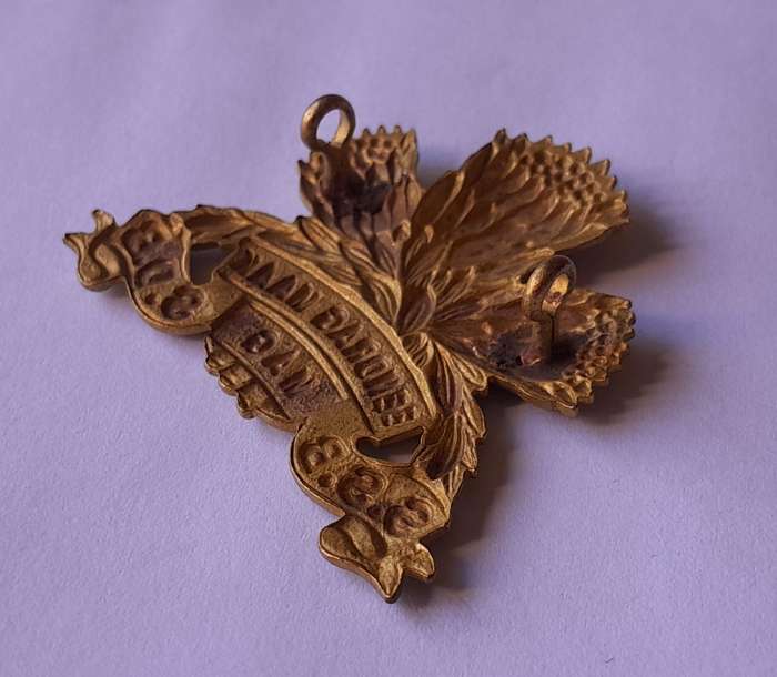 SA Army Special Service Battalion Cap Badge.  Lugs Intact.